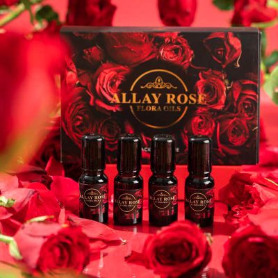 玫瑰小精灵 Allay Rose