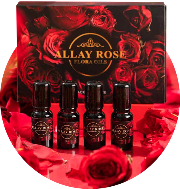 featured - allay rose